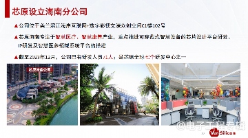 海南半导体产业崛起 芯原推动智慧医疗创新(图5)