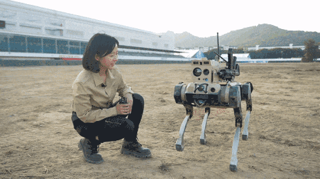 中国“机器狼群”首次亮相第15届珠海航展,身背机枪实现集群作战(图2) 中国“机器狼群”首次亮相第15届珠海航展,身背机枪实现集群作战(图2)