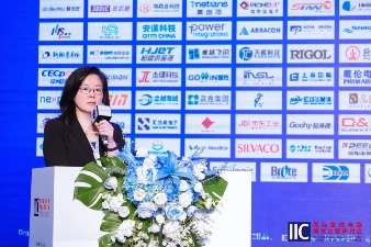 亮相IIC Shenzhen 2024，爱芯元智仇肖莘分享A
