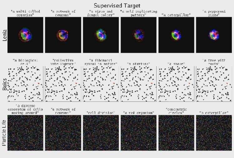 AI突破性算法实现自动化人工生命搜索，无需手工设计即可发现全新生命体(图10)