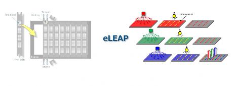 JDI大尺寸OLED技术量产再延期至2025年3月(图1)