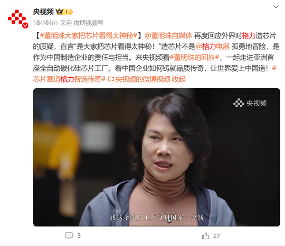 格林芯片技术揭秘：自主探索与行业责任担当(图1)