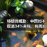 特朗普威胁：中国如不取消34%关税，将再加码50%关税！（图4）