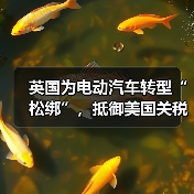 英国为电动汽车转型“松绑”,抵御美国关税影响(图2) 英国为电动汽车转型“松绑”,抵御美国关税影响(图2)