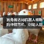 独角兽达闼机器人被曝陷停摆危机，创始人回应：短期资金流动性挑战（图2）