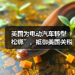 英国为电动汽车转型“松绑”,抵御美国关税影响(图4) 英国为电动汽车转型“松绑”,抵御美国关税影响(图4)