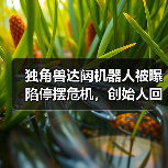 独角兽达闼机器人被曝陷停摆危机，创始人回应：短期资金流动性挑战（图4）