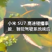 小米 SU7 高速碰撞事故，智能驾驶系统响应与电池安全引关注（图1）