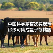 中国科学家首次实现毫秒级可集成量子存储器（图2）