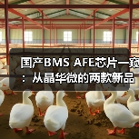国产BMS AFE芯片一窥：从晶华微的两款新品说起（图1）