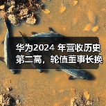 华为2024 年营收历史第二高，轮值董事长换人（图1）