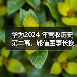 华为2024 年营收历史第二高，轮值董事长换人（图3）
