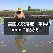 美国关税落地，苹果iPhone“最受伤”（图2）