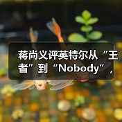 蒋尚义评英特尔从“王者”到“Nobody”，与成熟工艺代工企业合并是“绝配”（图4）