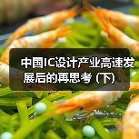 中国IC设计产业高速发展后的再思考 (下)（图2）