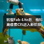 转型Fab-Lite后，格科高像素CIS进入新阶段（图3）