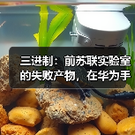 三进制:前苏联实验室的失败产物,在华为手里重生了?(图3) 三进制:前苏联实验室的失败产物,在华为手里重生了?(图3)