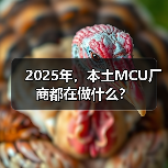 2025年，本土MCU厂商都在做什么？（图2）