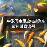 中欧同意重启电动汽车反补贴案谈判（图2）