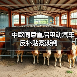 中欧同意重启电动汽车反补贴案谈判（图1）