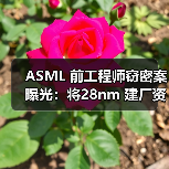 ASML 前工程师窃密案曝光：将28nm 建厂资料卖给俄罗斯（图4）