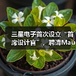 三星电子首次设立“首席设计官”，聘请Mauro Porcini担任（图2）