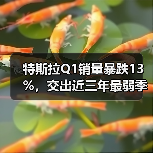 特斯拉Q1销量暴跌13%,交出近三年最弱季度成绩单(图2) 特斯拉Q1销量暴跌13%,交出近三年最弱季度成绩单(图2)