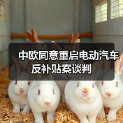 中欧同意重启电动汽车反补贴案谈判(图4) 中欧同意重启电动汽车反补贴案谈判(图4)