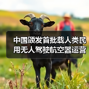 中国颁发首批载人类民用无人驾驶航空器运营合格证,低空经济迈入 “载人时代”(图3) 中国颁发首批载人类民用无人驾驶航空器运营合格证,低空经济迈入 “载人时代”(图3)