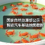 国家自然资源部公示《智能汽车基础地图数据传输安全保护技术规范》(图2) 国家自然资源部公示《智能汽车基础地图数据传输安全保护技术规范》(图2)