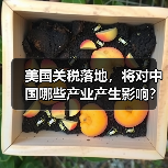 美国关税落地,将对中国哪些产业产生影响?(图2) 美国关税落地,将对中国哪些产业产生影响?(图2)