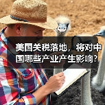 美国关税落地,将对中国哪些产业产生影响?(图3) 美国关税落地,将对中国哪些产业产生影响?(图3)
