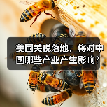 美国关税落地,将对中国哪些产业产生影响?(图4) 美国关税落地,将对中国哪些产业产生影响?(图4)