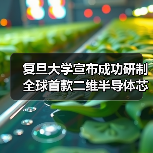 复旦大学宣布成功研制全球首款二维半导体芯片 “无极”（图1）