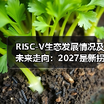 RISC-V生态发展情况及未来走向：2027是新拐点（图4）