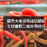 复旦大学宣布成功研制全球首款二维半导体芯片 “无极”（图3）
