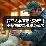 复旦大学宣布成功研制全球首款二维半导体芯片 “无极”（图4）