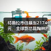 特斯拉市值暴涨2174亿元,全球副总裁陶琳回应安全驾驶问题(图3) 特斯拉市值暴涨2174亿元,全球副总裁陶琳回应安全驾驶问题(图3)