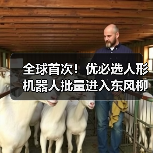 全球首次!优必选人形机器人批量进入东风柳汽工厂(图1) 全球首次!优必选人形机器人批量进入东风柳汽工厂(图1)