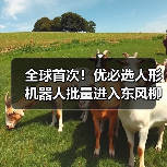 全球首次!优必选人形机器人批量进入东风柳汽工厂(图4) 全球首次!优必选人形机器人批量进入东风柳汽工厂(图4)