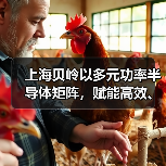 上海贝岭以多元功率半导体矩阵，赋能高效、可靠光储系统创新（图1）