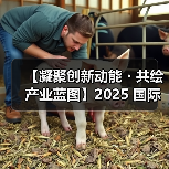 【凝聚创新动能・共绘产业蓝图】2025 国际集成电路展览会暨研讨会（IIC Shanghai）圆满闭幕（图1）