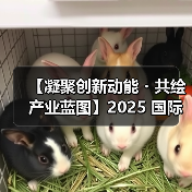 【凝聚创新动能・共绘产业蓝图】2025 国际集成电路展览会暨研讨会（IIC Shanghai）圆满闭幕（图4）