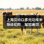 上海贝岭以多元功率半导体矩阵，赋能高效、可靠光储系统创新（图3）