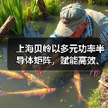 上海贝岭以多元功率半导体矩阵，赋能高效、可靠光储系统创新（图4）