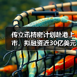 传立讯精密计划赴港上市，拟融资近30亿美元（图4）
