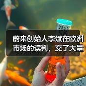 蔚来创始人李斌在欧洲市场的误判，交了大量学费（图1）