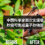 中国科学家首次实现毫秒级可集成量子存储器（图2）