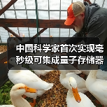 中国科学家首次实现毫秒级可集成量子存储器（图3）