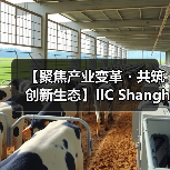【聚焦产业变革・共筑创新生态】IIC Shanghai 2025盛大启幕 中国IC领袖峰会 | 中国IC设计成就奖颁奖典（图4）